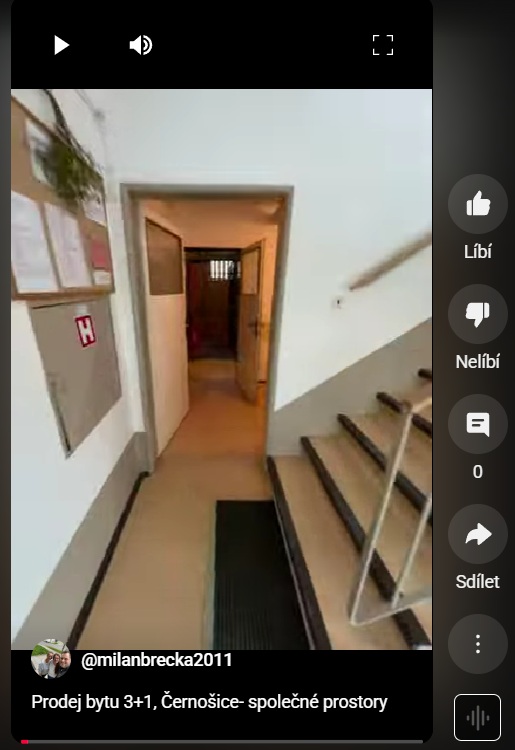 predprohlidkove_video_i